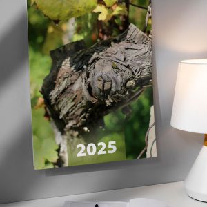Vinogradniški koledar 2025