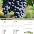 vinogradniški_2025-11