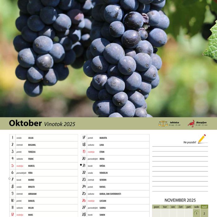 vinogradniški_2025-11