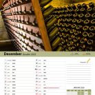 vinogradniški_2025-13