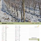 vinogradniški_2025-2