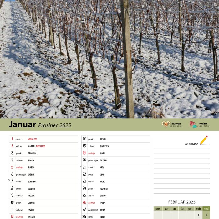 vinogradniški_2025-2