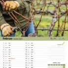 vinogradniški_2025-3