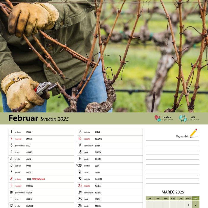 vinogradniški_2025-3