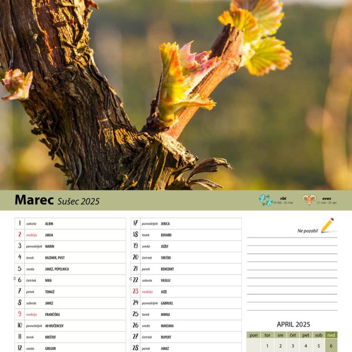 vinogradniški_2025-4