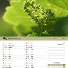 vinogradniški_2025-6
