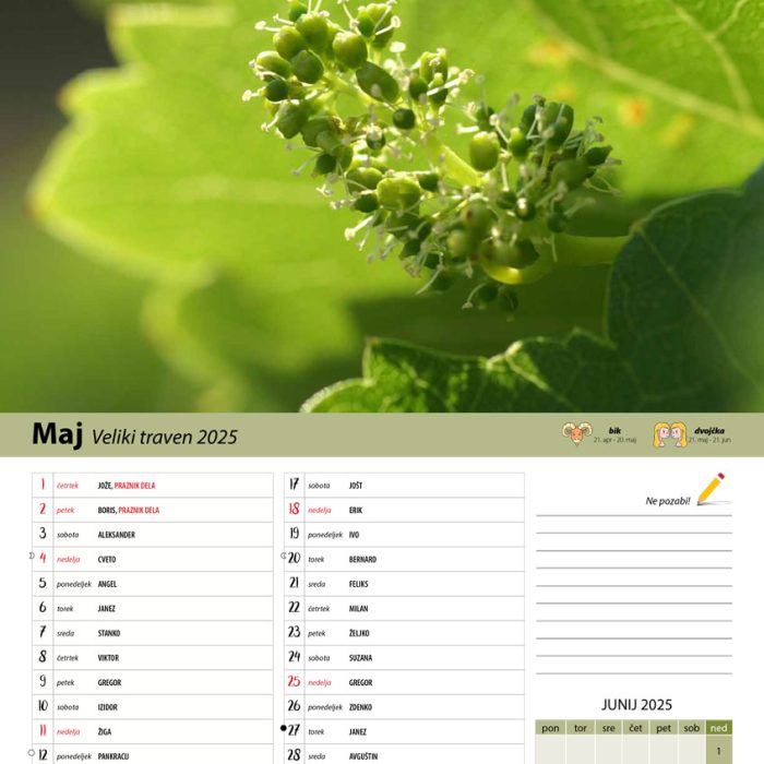 vinogradniški_2025-6