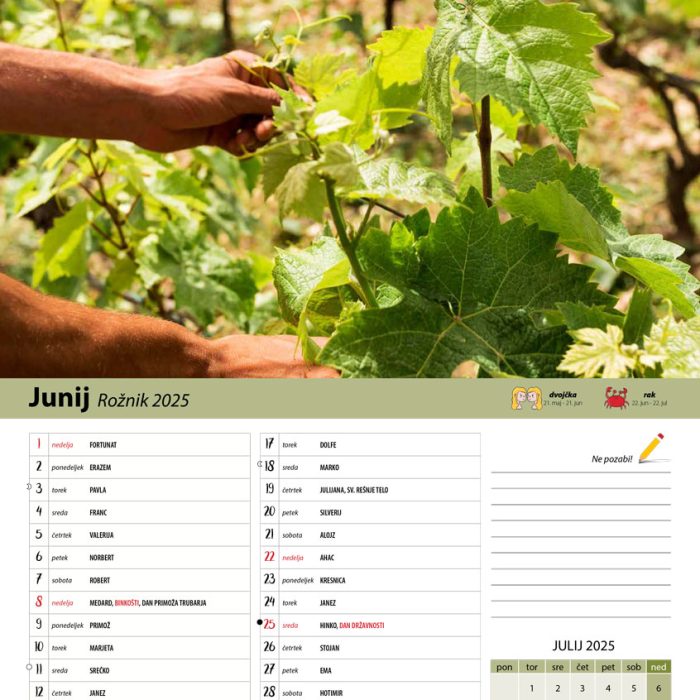 vinogradniški_2025-7