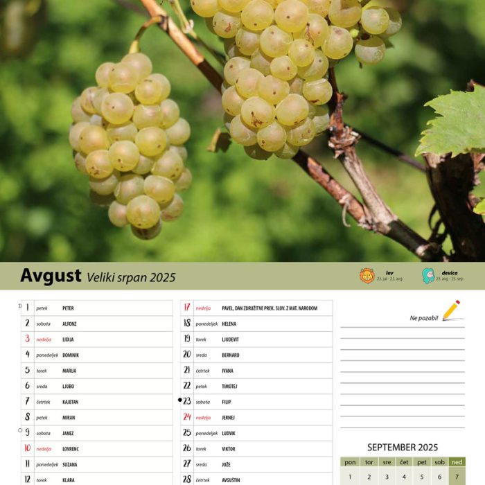 vinogradniški_2025-9